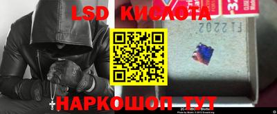 ECSTASY Кудрово