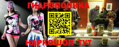 ECSTASY Кудрово