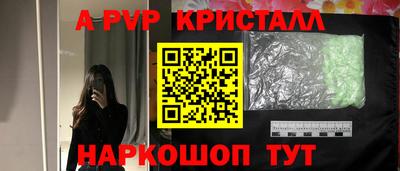 ECSTASY Кудрово